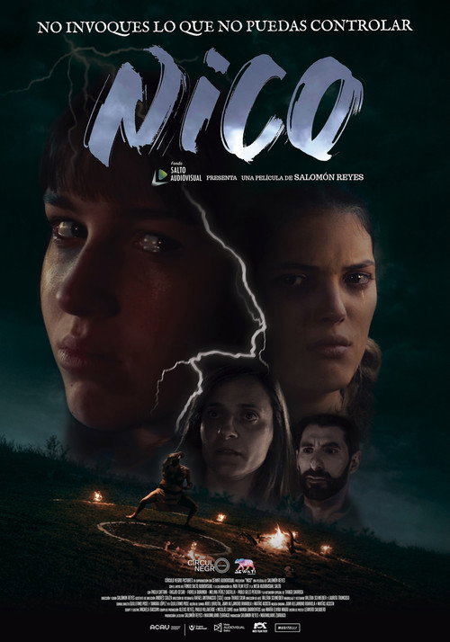 Постер фильма «Nico»