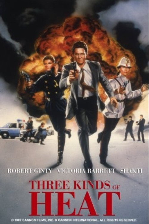 Постер фильма «Three Kinds of Heat»