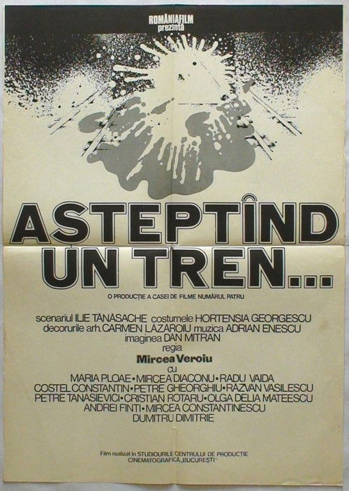 Постер фильма «Așteptînd un tren»