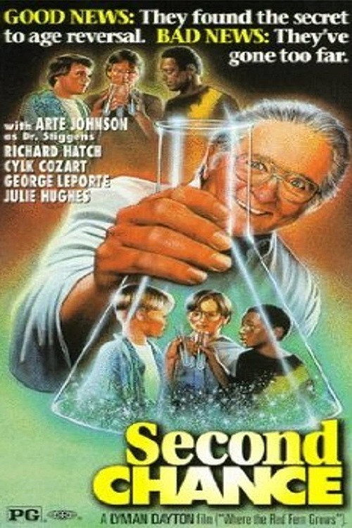Постер фильма «Second Chance»