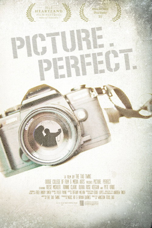 Постер фильма «Picture. Perfect.»