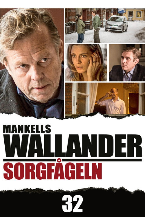 Постер фильма «Sorgfågeln»
