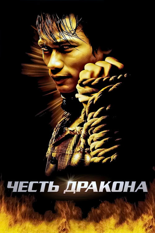 Постер фильма «Честь дракона»