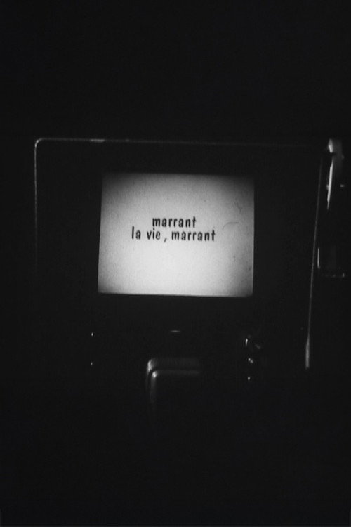 Постер фильма «Marrant la vie, Marrant !»