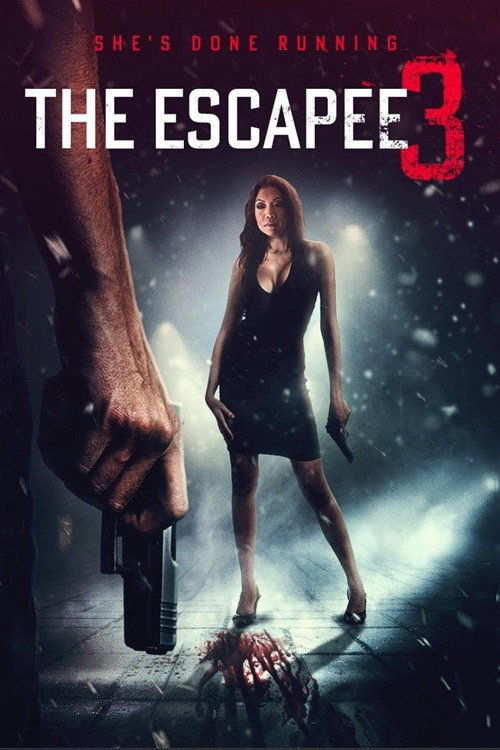 Постер фильма «The Escapee 3: The Final Escape»