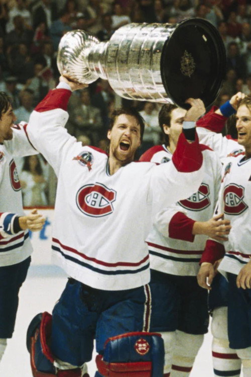 Постер фильма «La Coupe Stanley à Montréal en 1993»