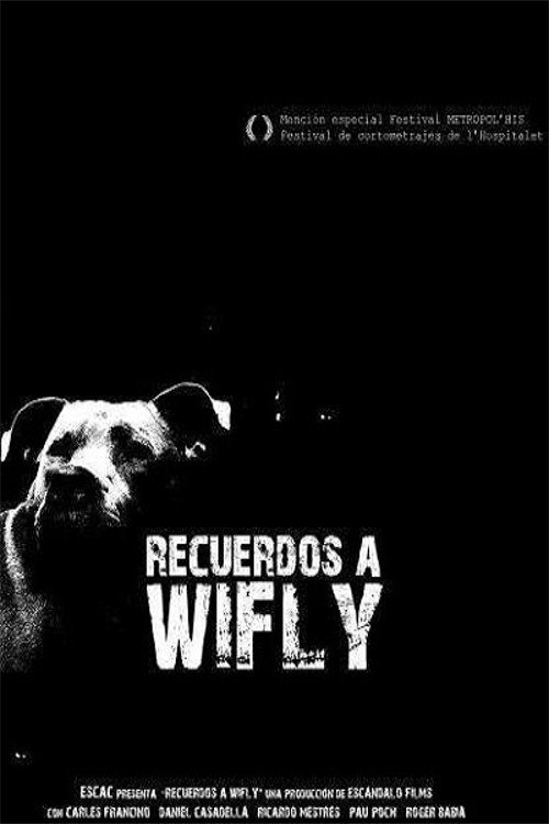 Постер фильма «Recuerdos a Wifly»