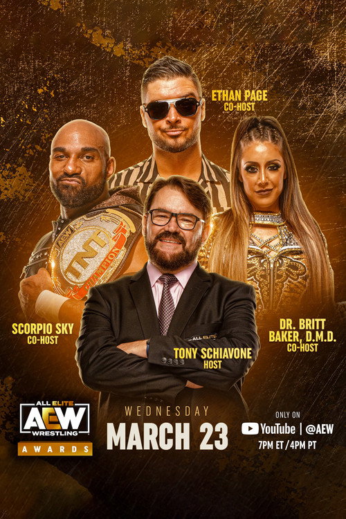 Постер фильма «AEW Awards»