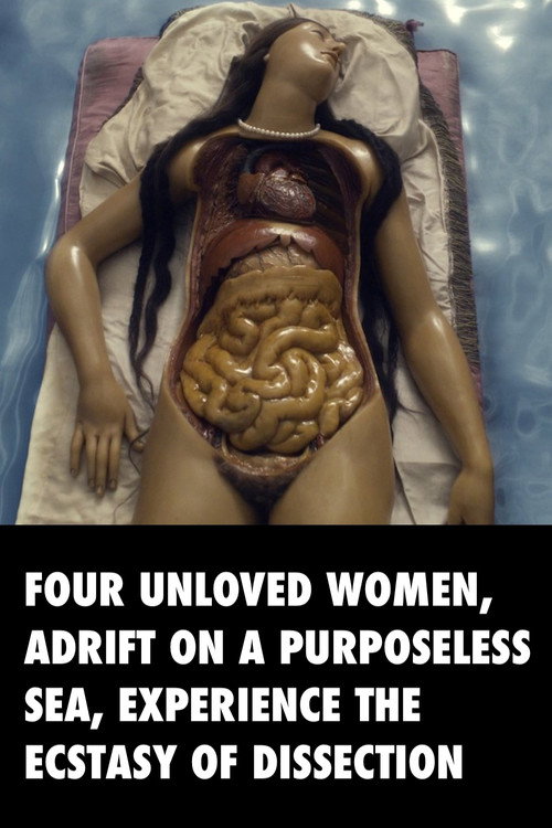 Постер фильма «Four Unloved Women, Adrift on a Purposeless Sea, Experience the Ecstasy of Dissection»