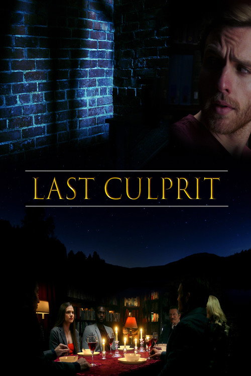 Постер фильма «Last Culprit»