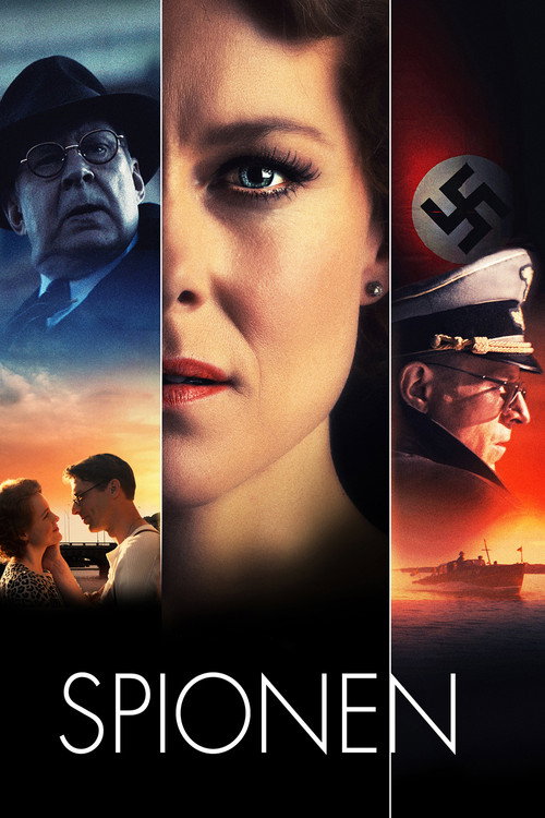 Постер фильма «Шпионка»