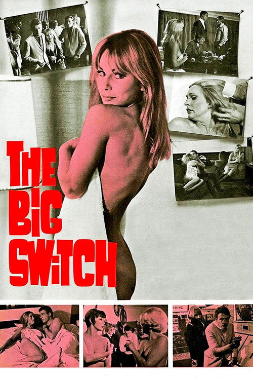 Постер фильма «The Big Switch»