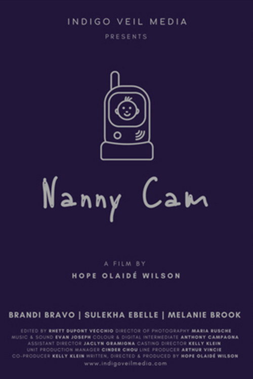 Постер фильма «Nanny Cam»