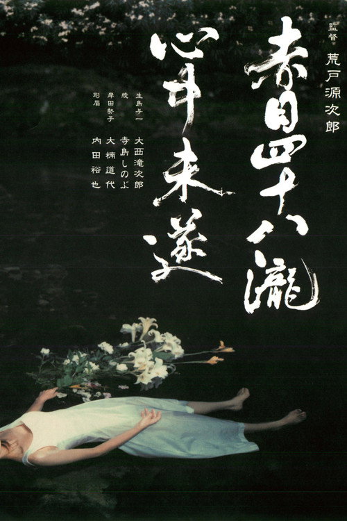 Постер фильма «赤目四十八瀧心中未遂»