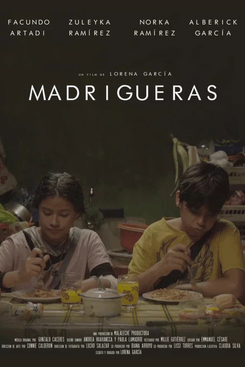 Постер фильма «Madrigueras»