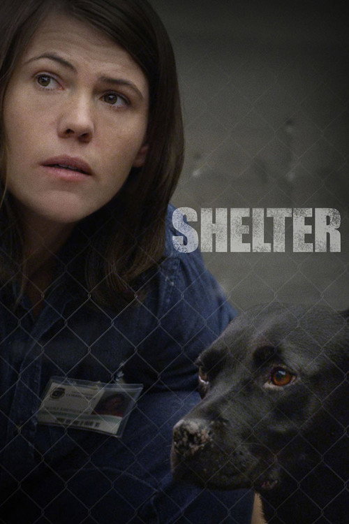 Постер фильма «Shelter»