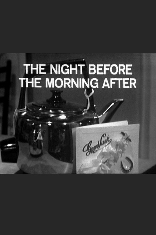 Постер фильма «The Night Before The Morning After»