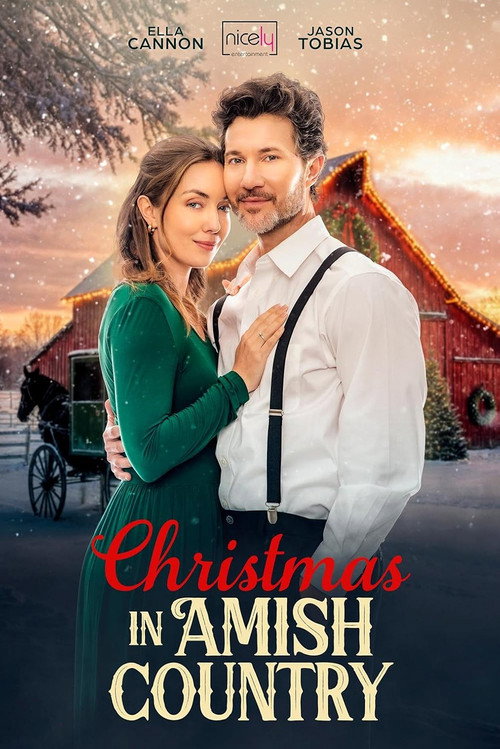 Постер фильма «Christmas in Amish Country»