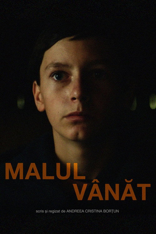 Постер фильма «Malul Vânăt»