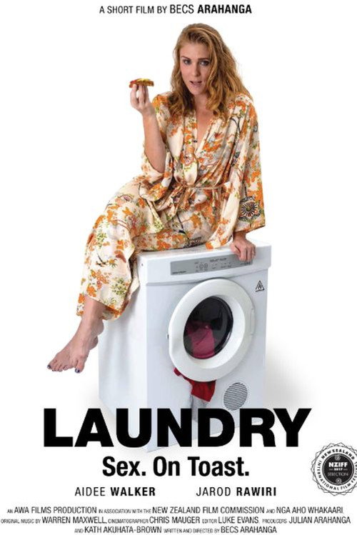 Постер фильма «Laundry»