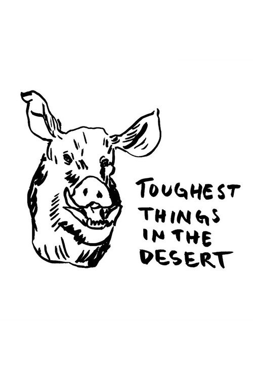 Постер фильма «Toughest Things in the Desert»