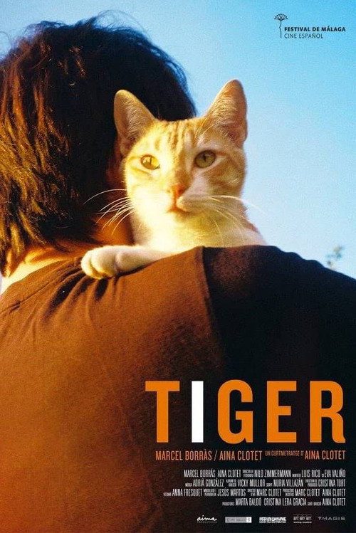 Постер фильма «Tiger»