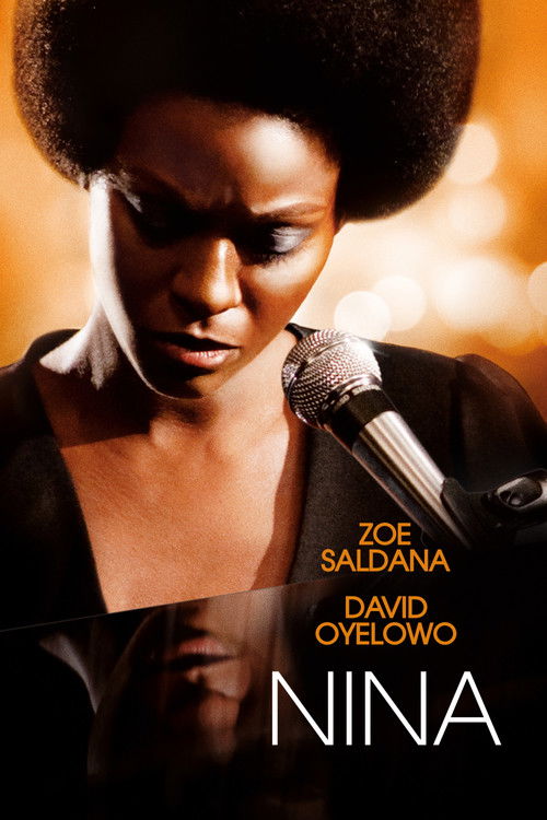 Постер фильма «Nina»