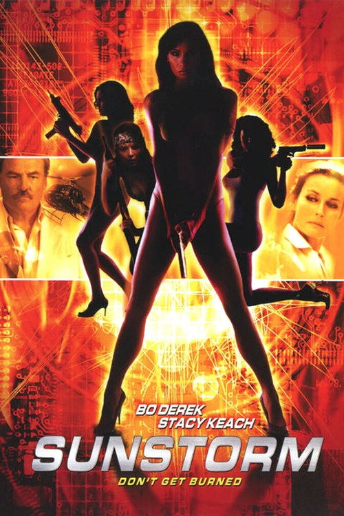 Постер фильма «Sunstorm»