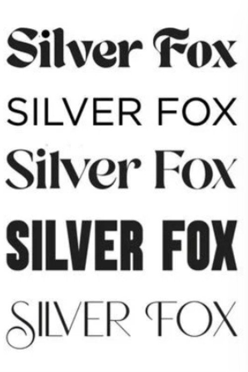 Постер фильма «Silver Fox»