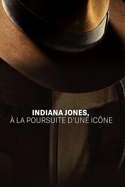 Постер фильма «Indiana Jones : à la poursuite d’une icône»