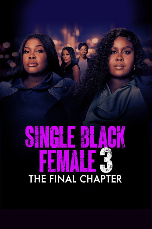 Постер фильма «Single Black Female 3: The Final Chapter»
