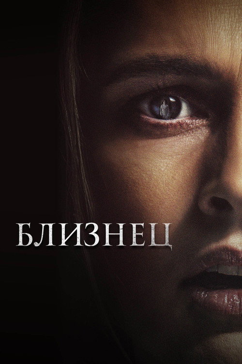 Постер фильма «Близнец»