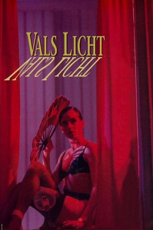 Постер фильма «Vals licht»