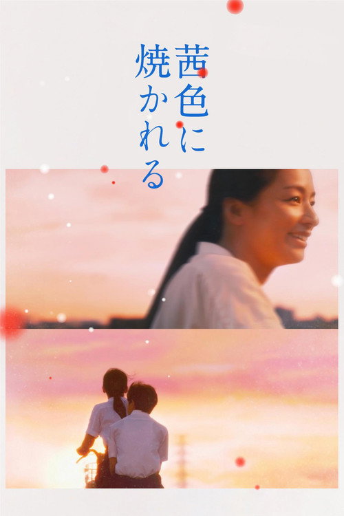 Постер фильма «茜色に焼かれる»