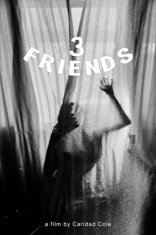 Постер фильма «3 Friends»