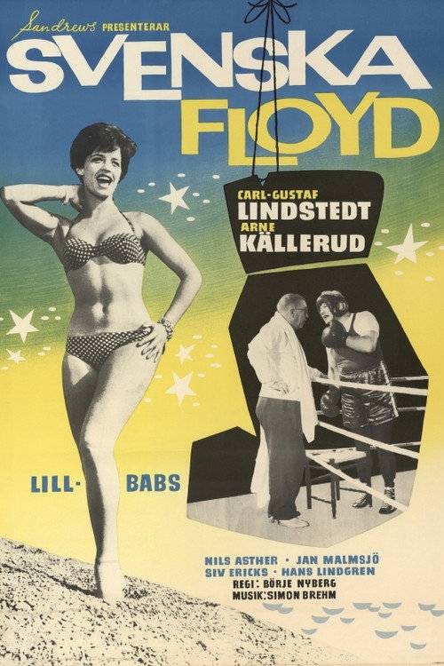 Постер фильма «Svenska Floyd»