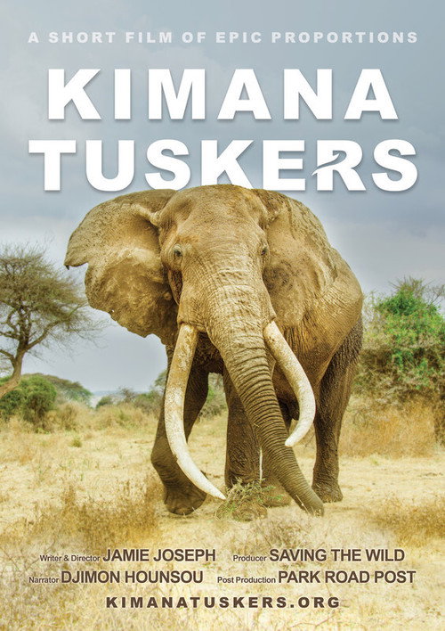 Постер фильма «Kimana Tuskers»