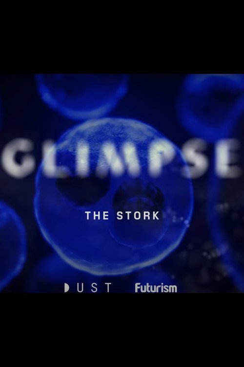 Постер фильма «Glimpse Ep 2: The Stork»