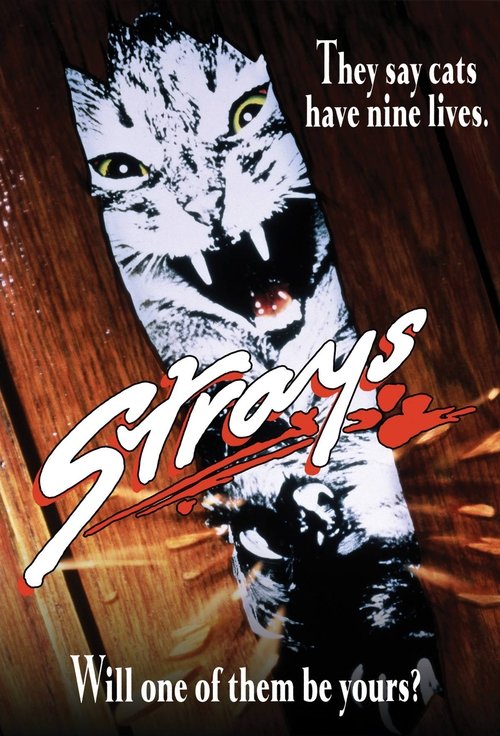 Постер фильма «Strays»