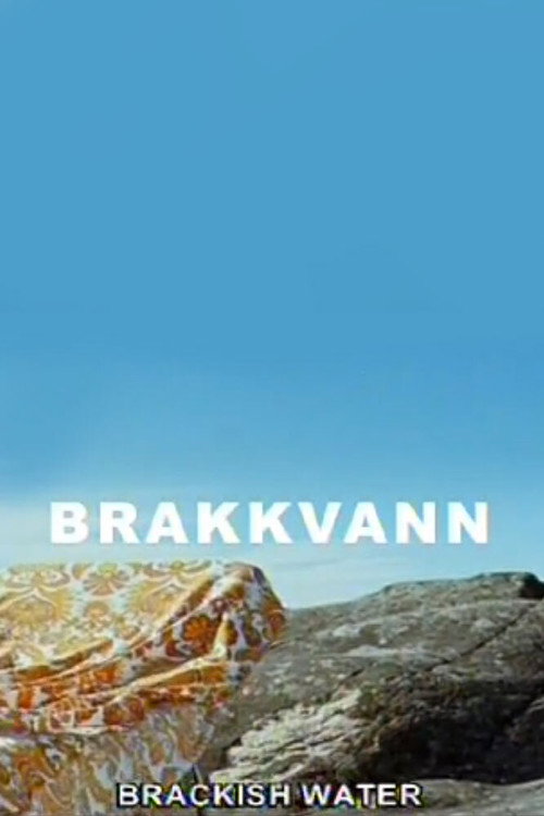 Постер фильма «Brakkvann»