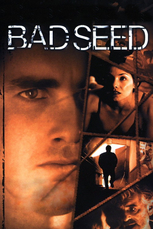 Постер фильма «Bad Seed»