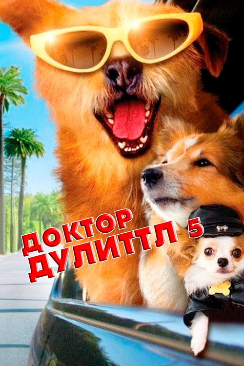 Постер фильма «Доктор Дулиттл 5»
