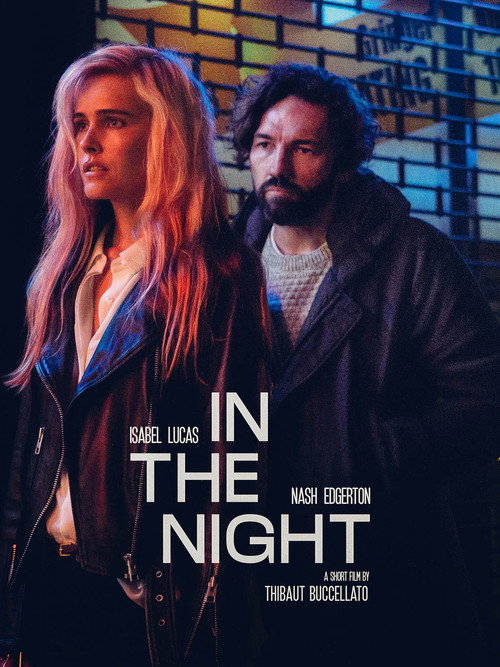 Постер фильма «In The Night»