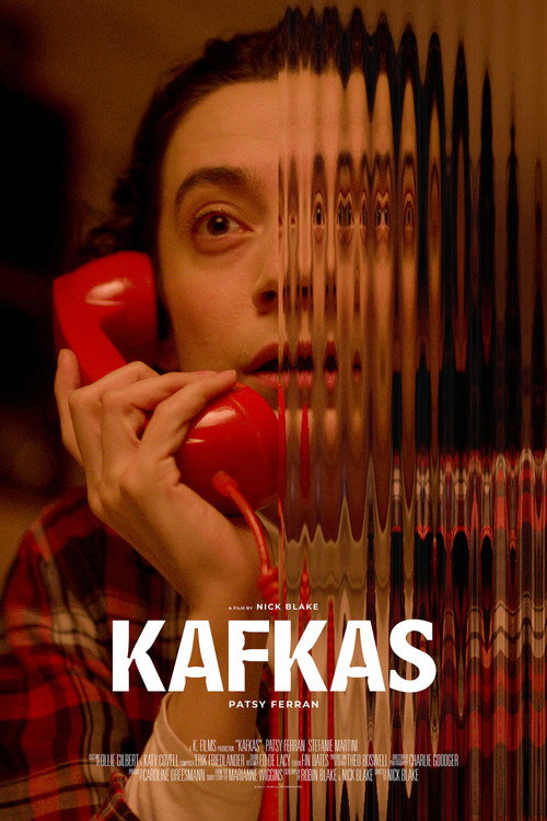 Постер фильма «Kafkas»