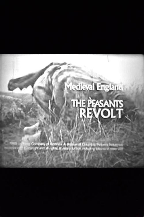 Постер фильма «Medieval England: The Peasants' Revolt»