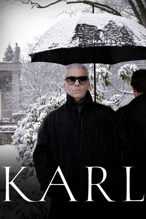 Постер фильма «Karl»