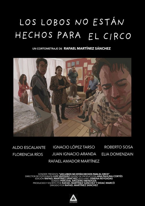 Постер фильма «Los Lobos No Están Hechos Para El Circo»