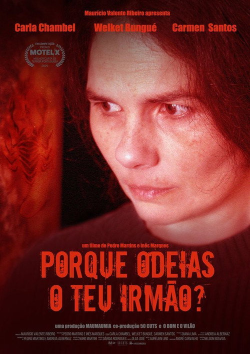 Постер фильма «Porque Odeias o teu Irmão?»