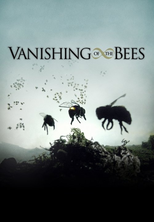Постер фильма «Vanishing of the Bees»