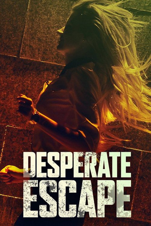 Постер фильма «Desperate Escape»